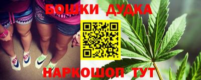 молекула духа Гатчина