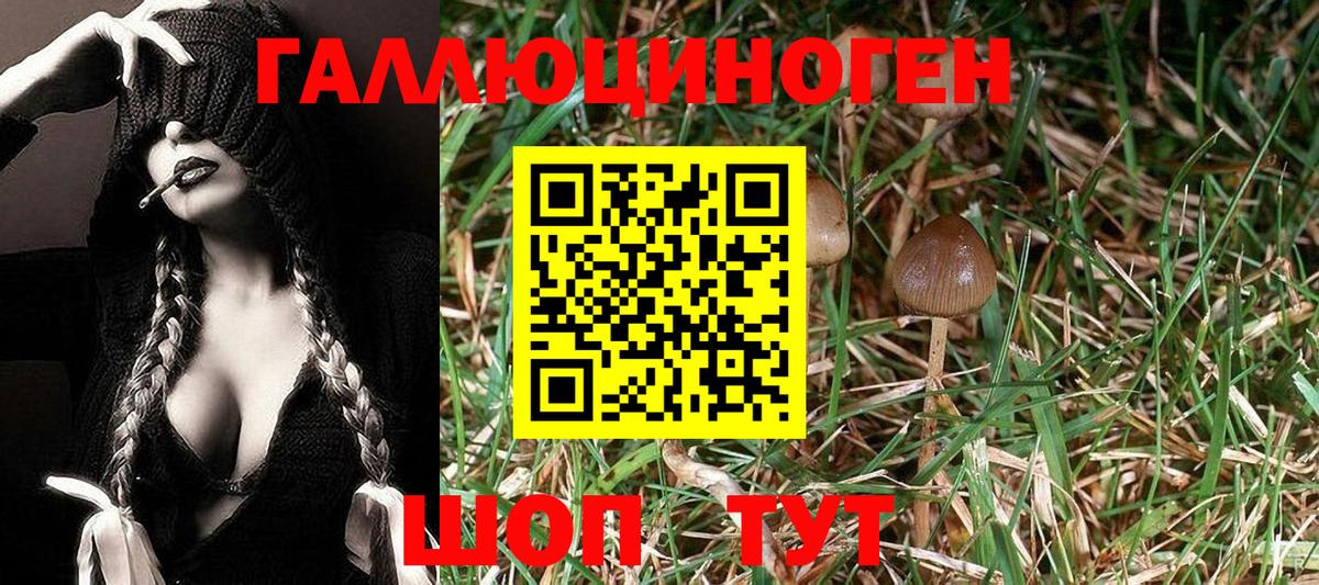 Псилоцибиновые грибы ЛСД  купить  сайты  Батайск  Вход с VPN 