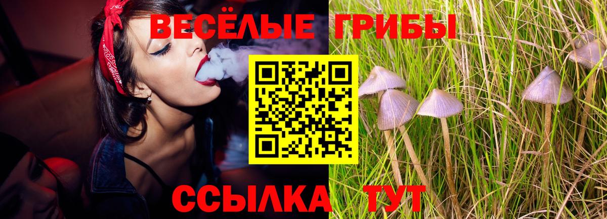 Псилоцибиновые грибы Cubensis Батайск